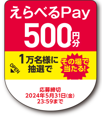 えらべるPay500円分