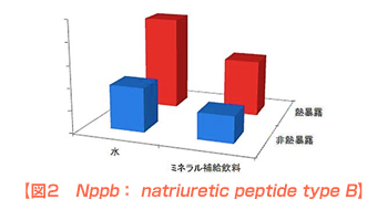 図2 Nppb: natriuretic peptide type B