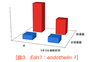 図3 Edn1: endothelin 1