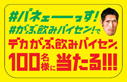 パネェーっす！がぶ飲みパイセン！武勇写真 募集キャンペーン詳細