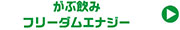 がぶ飲みフリーダムエナジー