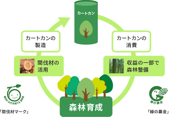 「カートカン」は、国産材を30%以上、間伐材も積極的に活用しています。