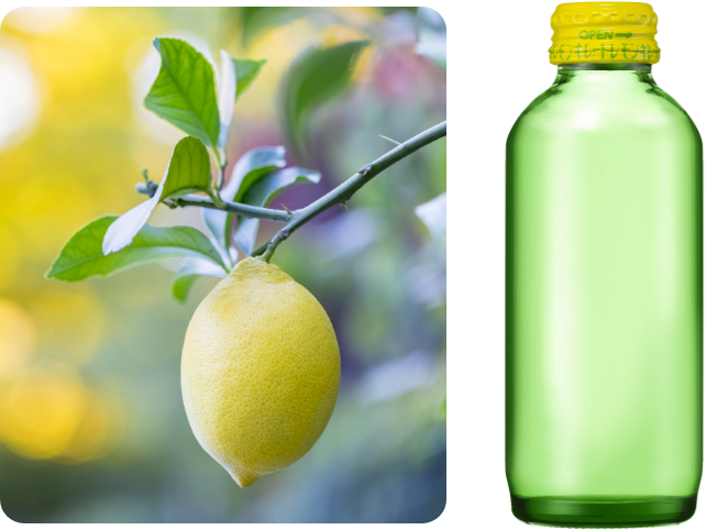 POINT3 イメージ写真