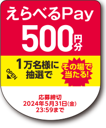 えらべるPay500円分