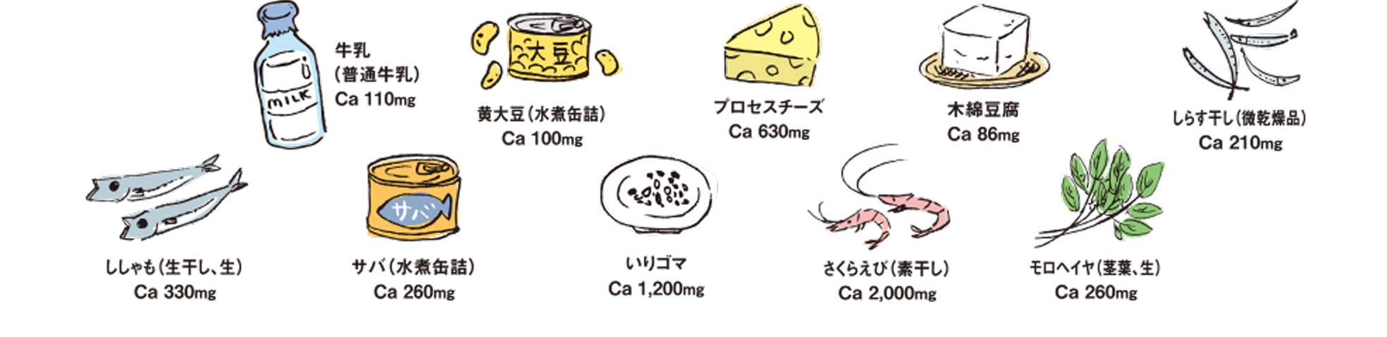 牛乳 黄大豆 プロセスチーズ 木綿豆腐 しらす干し(微乾燥品) ししゃも(生干し、生) サバ(水煮缶詰) いりゴマ さくらえび(煮干し) モロヘイヤ(茎葉、生))