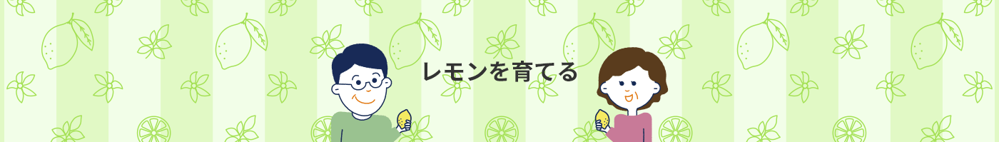 レモンの育て方