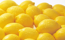 レモンのヒミツ