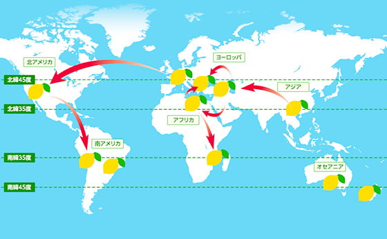 レモン伝播の歴史
