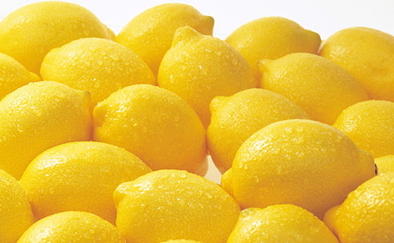 レモンの品種