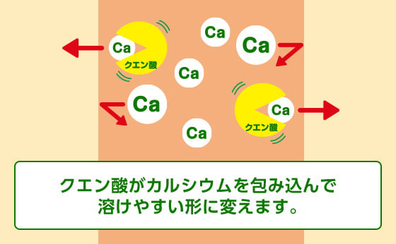 キレート作用のしくみ