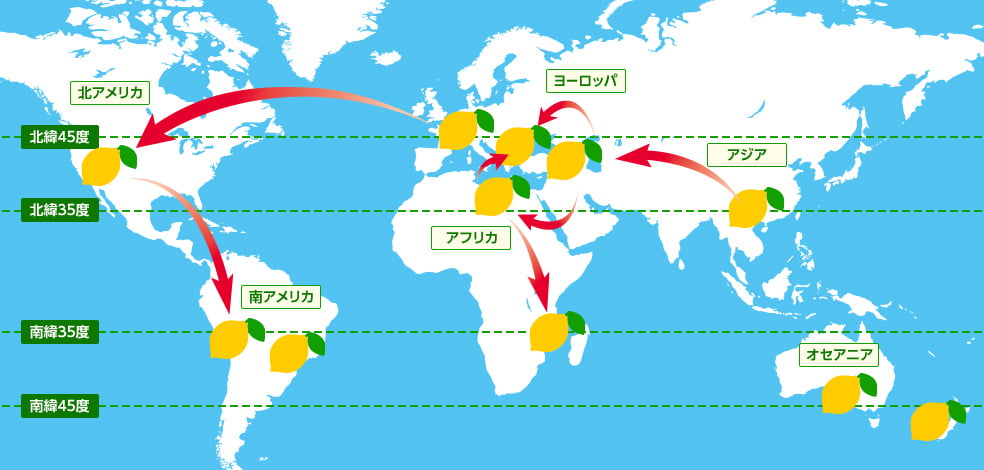 レモン伝播の歴史のイメージ