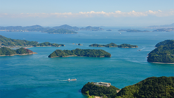 広島県でのレモン生産のイメージ