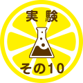 実験 その10