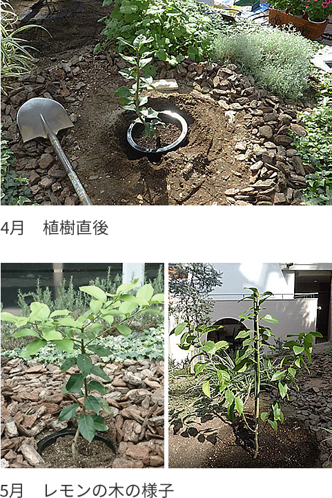 ~北の大地出張編~