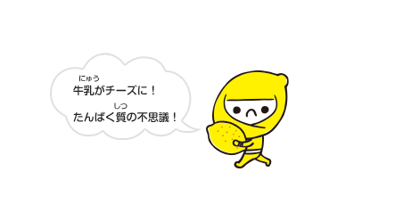 牛乳がチーズに！
                                                                たんぱく質の不思議！