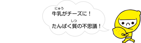 牛乳がチーズに！
                                                                たんぱく質の不思議！