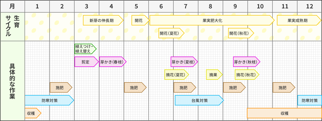 レモンの栽培カレンダー