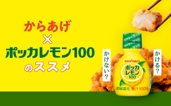 からあげ×ポッカレモン100のススメ