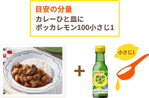 目安の分量 カレーひと皿にポッカレモン100小さじ1