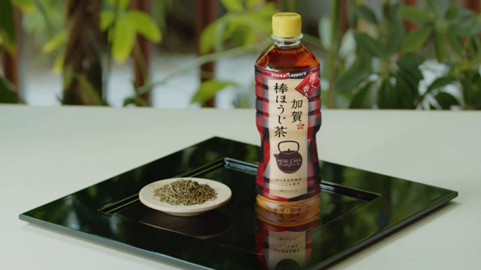 加賀棒ほうじ茶が育つまで