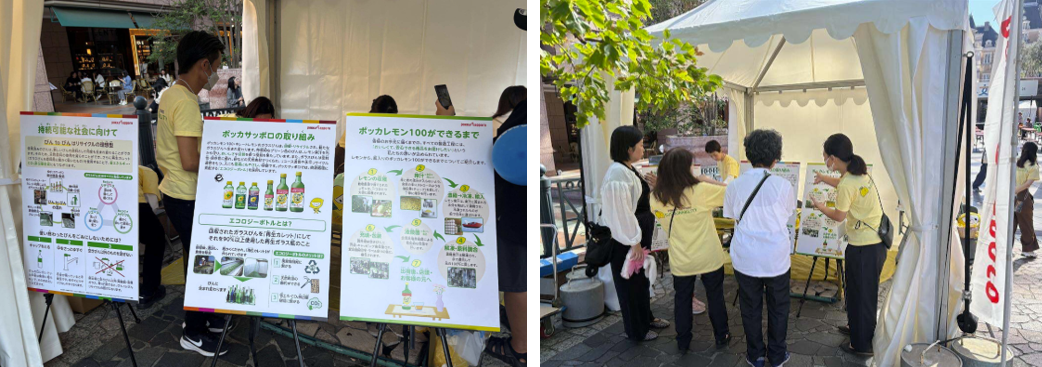 展示の様子